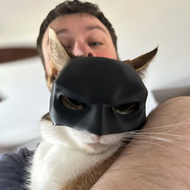 Bat Cat Avenger Mask