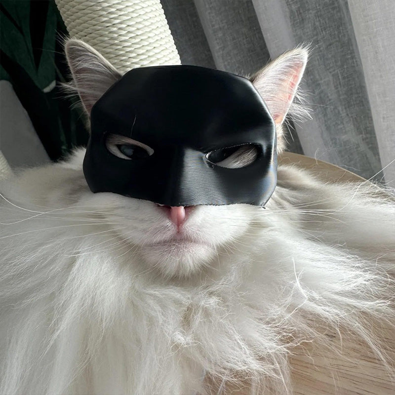 Bat Cat Avenger Mask