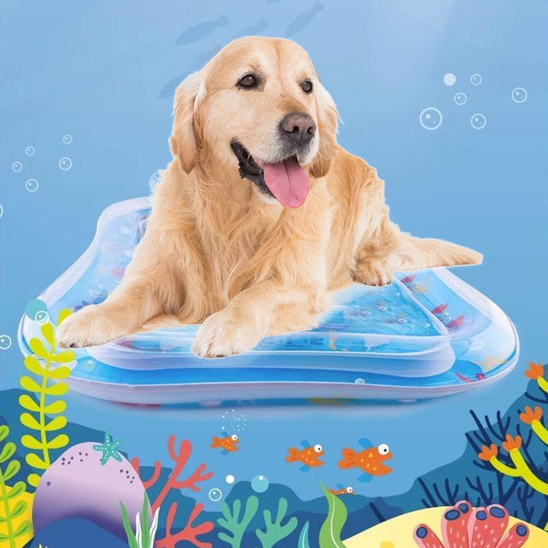 Pet Water Sensory Mat