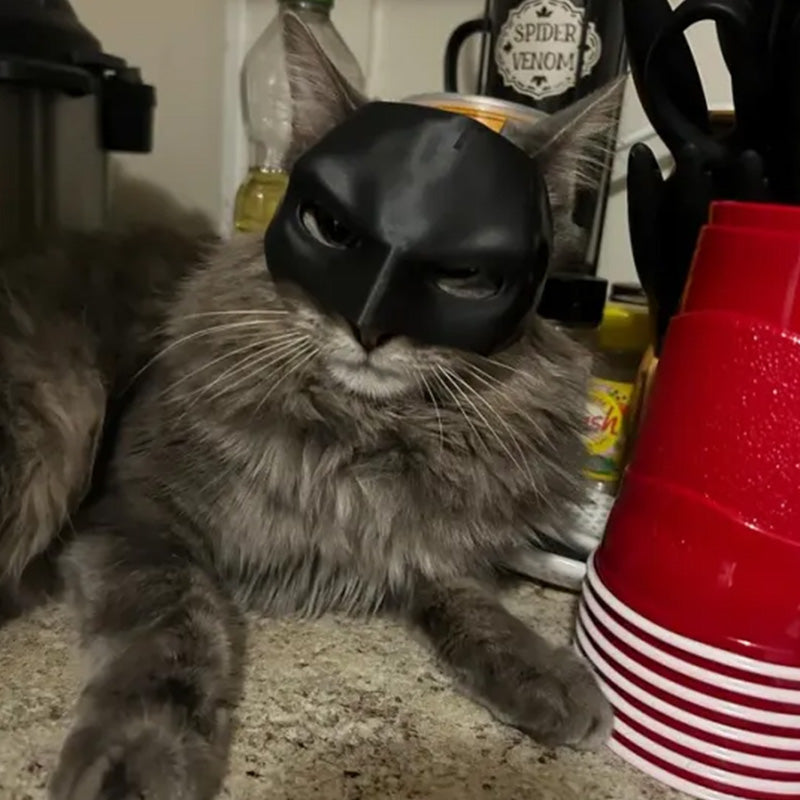 Bat Cat Avenger Mask