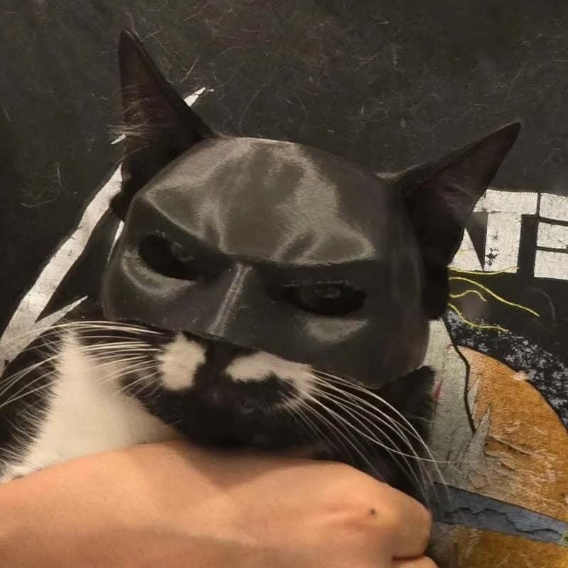 Bat Cat Avenger Mask