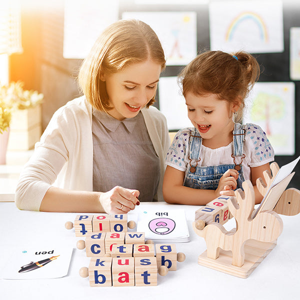 Wooden Reading Blocks