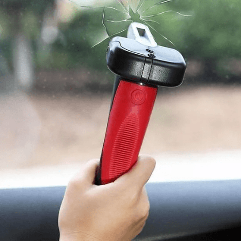 Car Cane